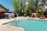 This expansive outdoor amenity space is centered around a generously sized swimming pool with smooth curved edges and clear turquoise water. The surrounding pool deck is finished in light-toned concrete and decorative stone pavers, providing ample room for relaxation. Rows of cushioned lounge chairs and in-water sun shelves offer multiple options for sunbathing, while several market umbrellas provide shaded relief throughout the deck.

Multiple gazebos are positioned around the perimeter, each outfitted with seating areas that create private, cabana-style retreats. A substantial wood-framed pergola anchors one end of the space, sheltering a built-in outdoor kitchen featuring stone-clad countertops and stainless steel grills — ideal for outdoor entertaining.

Manicured landscaping with mulched planting beds and low shrubs lines the pool area, adding greenery and structure to the design. The entire space is enclosed by a black iron fence, ensuring a secure and well-defined environment. Tall, mature trees border the property, providing a natural backdrop and additional shade. The overall atmosphere is resort-inspired, combining well-appointed amenities with an open, sun-filled outdoor setting suited for both leisure and social gatherings.
