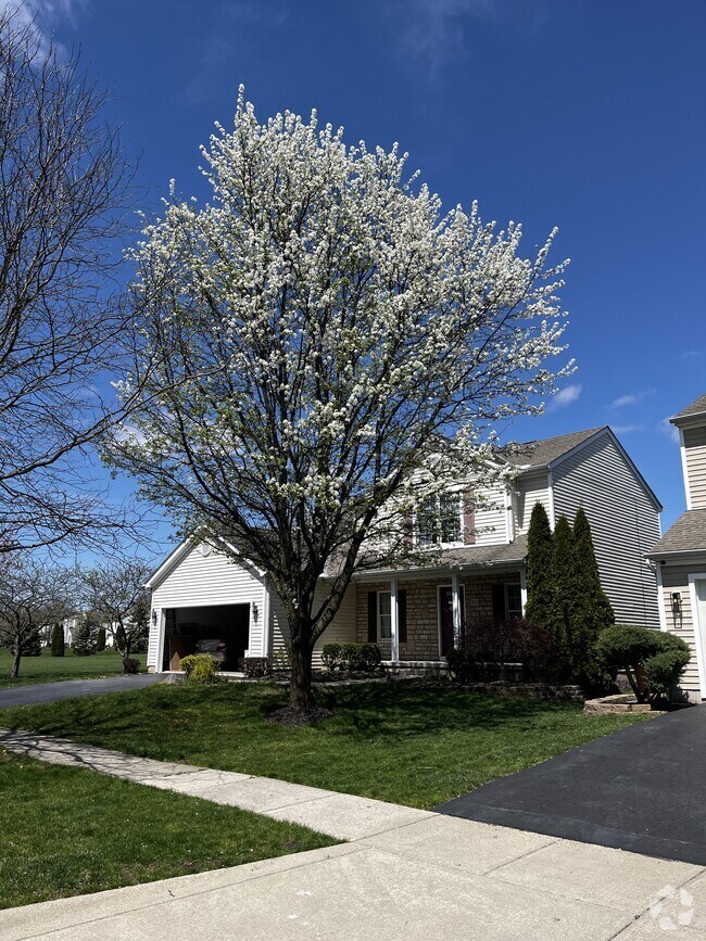 Houses For Rent in Westerville OH 15 Homes