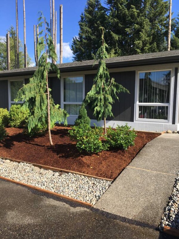 Foto principal - 828 Phoenix St NE