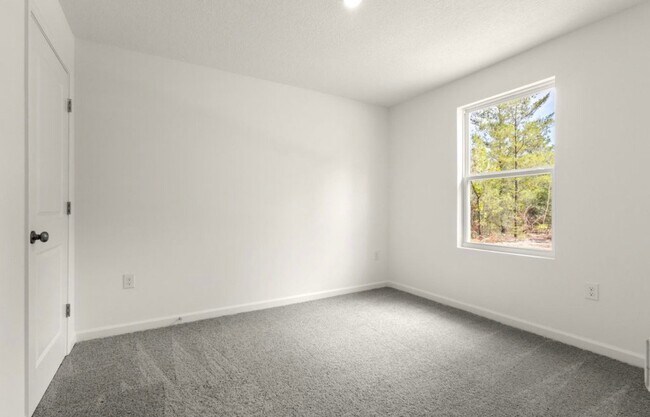 Foto del edificio - 135 Tiger Lily Ln