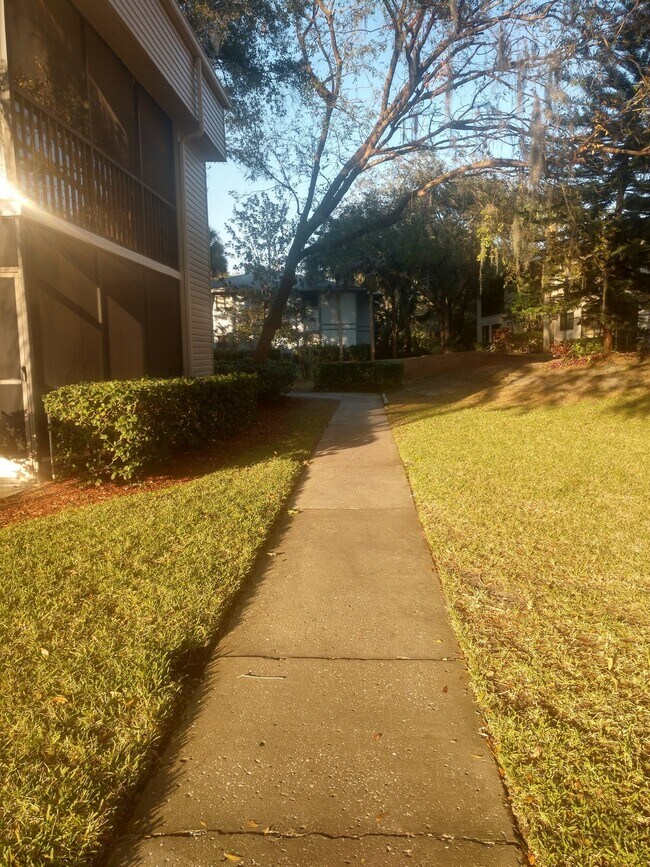 Foto del edificio - 2 Bedroom/2 Bath Palm Harbor Condo