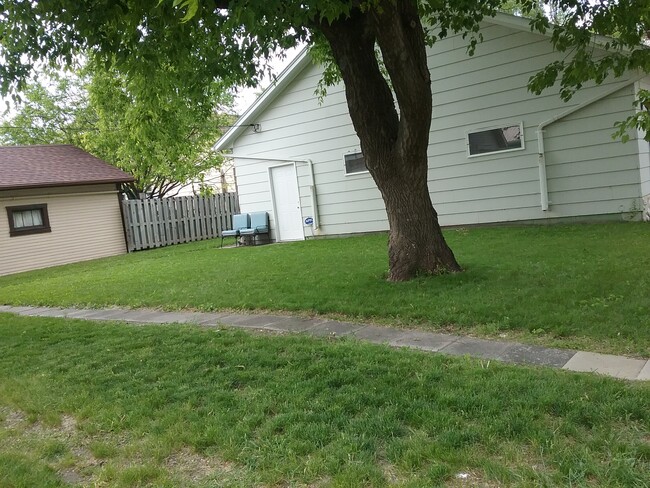 backyard - 1701 University Ave