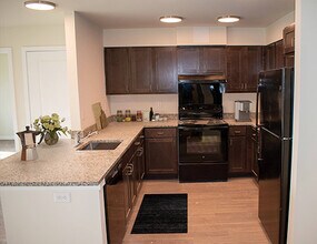 Renaissance Row photo'