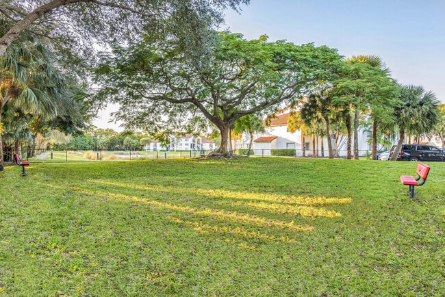 Large Dog Park - Avana Delray Beach