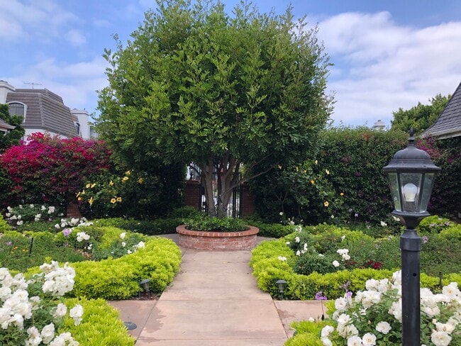 Courtyard - 8130 Redlands St