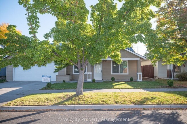 Foto del edificio - Light & Bright Single Level Home!