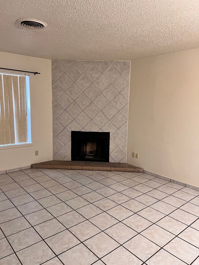 Fireplace - 208 S Washington Ave