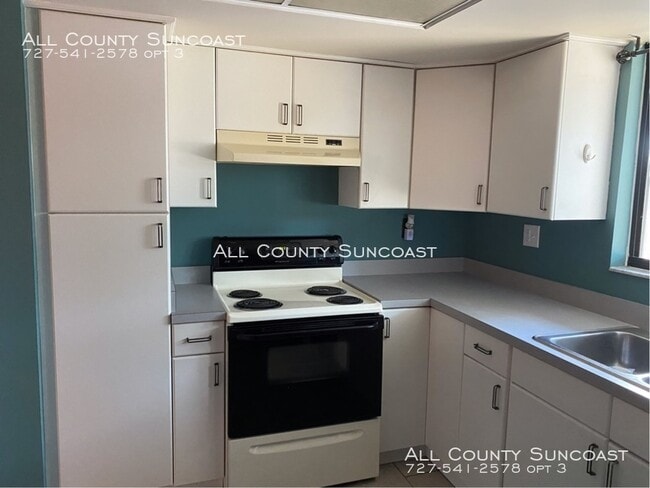 Building Photo - Village Lake condo for rent 3/2 really nice!