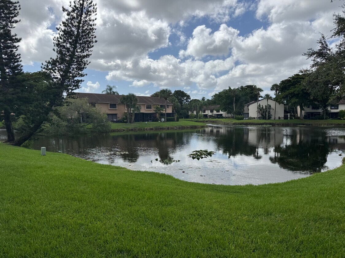 Primary Photo - 3733 Carambola Cir N