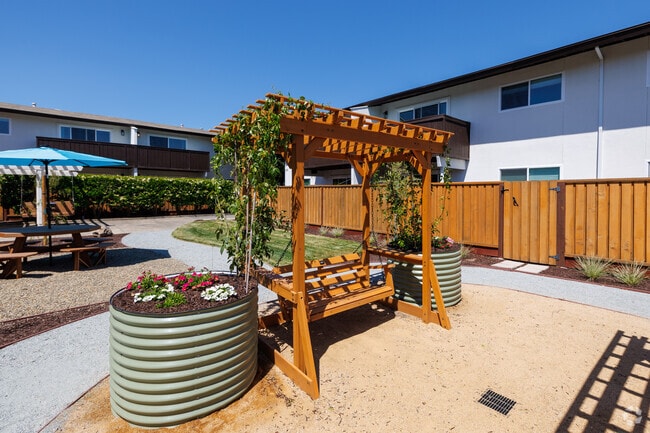 Courtyard - Sonoma Park Apartments