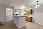 Located at 13701 Keelingwood Cir in Woodbridge, VA, this one-bedroom, one-bathroom residence offers a thoughtfully designed single-floor layout. The open-concept living, dining, and kitchen area serves as the heart of the home, where warm-toned wood cabinetry, light countertops, and a peninsula breakfast bar define the kitchen space. The kitchen is fully equipped with a range, refrigerator, and dishwasher, complemented by generous upper and lower cabinet storage and light wood-style flooring. The living area flows seamlessly from the kitchen and features plush carpeting and direct access to a private balcony through a glass door, allowing for natural light and outdoor views. The spacious primary bedroom offers soft carpeted flooring, a large window with blinds, and multiple closets providing ample storage throughout. The full bathroom includes a wood-vanity, a tub-shower combination, and light wood-style flooring for a clean, cohesive look. A dedicated in-unit laundry area with a washer and dryer adds everyday convenience. Neutral gray walls and clean white trim throughout create a bright, move-in-ready atmosphere across this well-appointed Woodbridge residence.