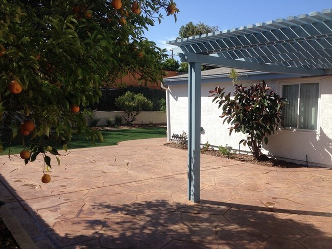 Building Photo - Serra Mesa Home