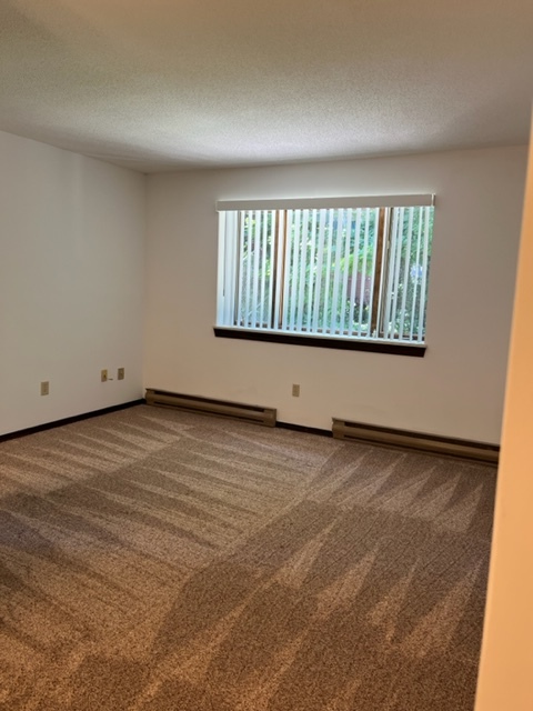 Living room - 317 Fairmount Ave