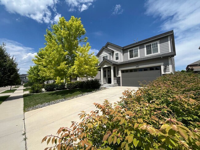 Foto del edificio - Beautiful Home in South Fort Collins