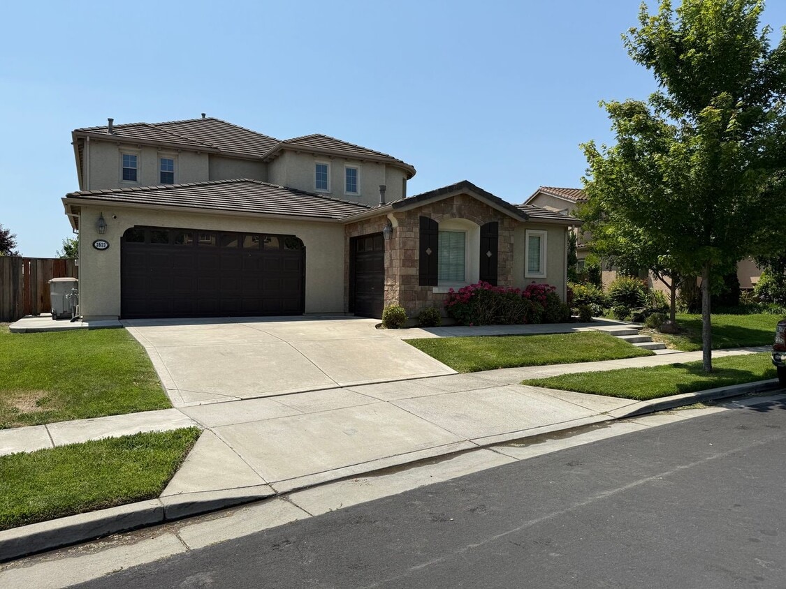 Primary Photo - 3533 Bridgeway Lakes Dr