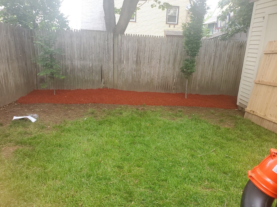 Fenced in back yard - 226 Bailey St