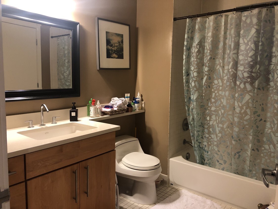 large bathroom - 1348 Euclid St NW