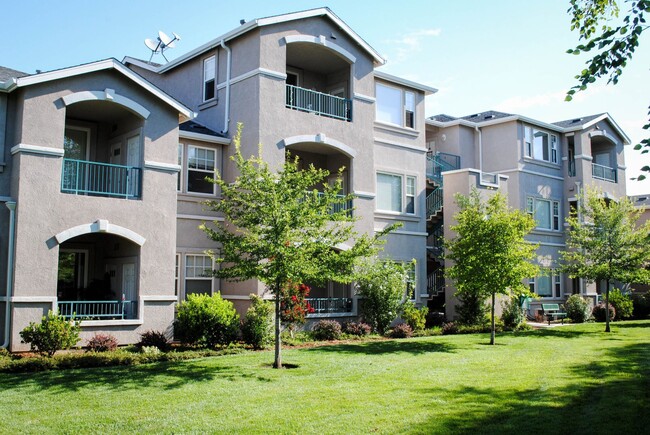 Interior Photo - Sterling Oaks Luxury Apartments