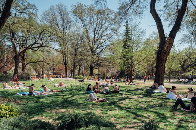 Serenity amidst the city hustle at Tompkins Square Park.