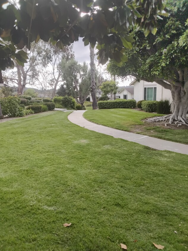 Foto principal - 3508 Driftwood Pl