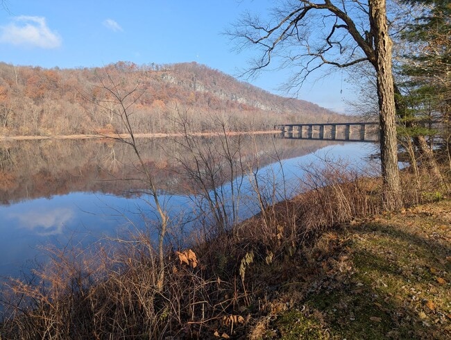 Building Photo - Riverfront Bungalow