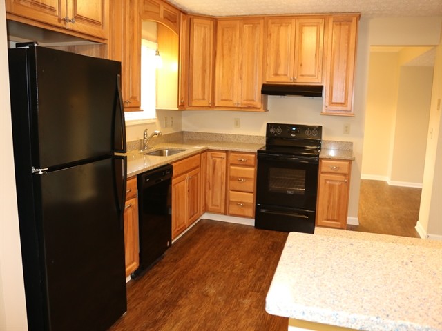 Building Photo - 3559 High Creek Dr