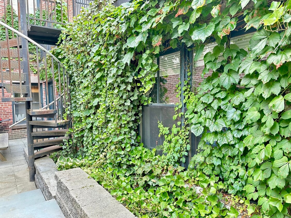 Primary Photo - 658 Massachusetts Ave