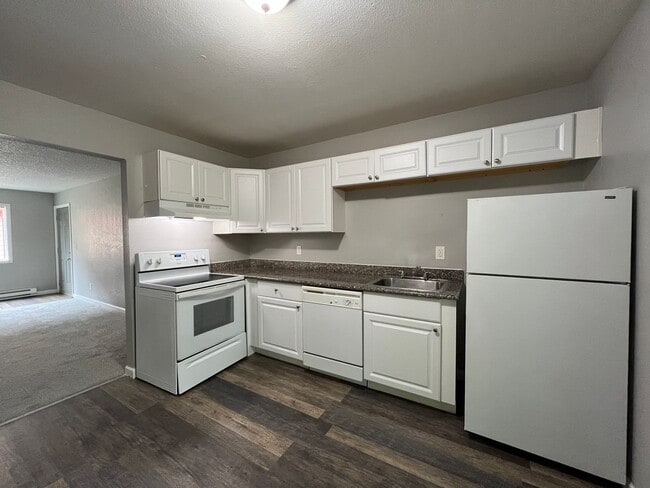 Interior Photo - Cascade Firs