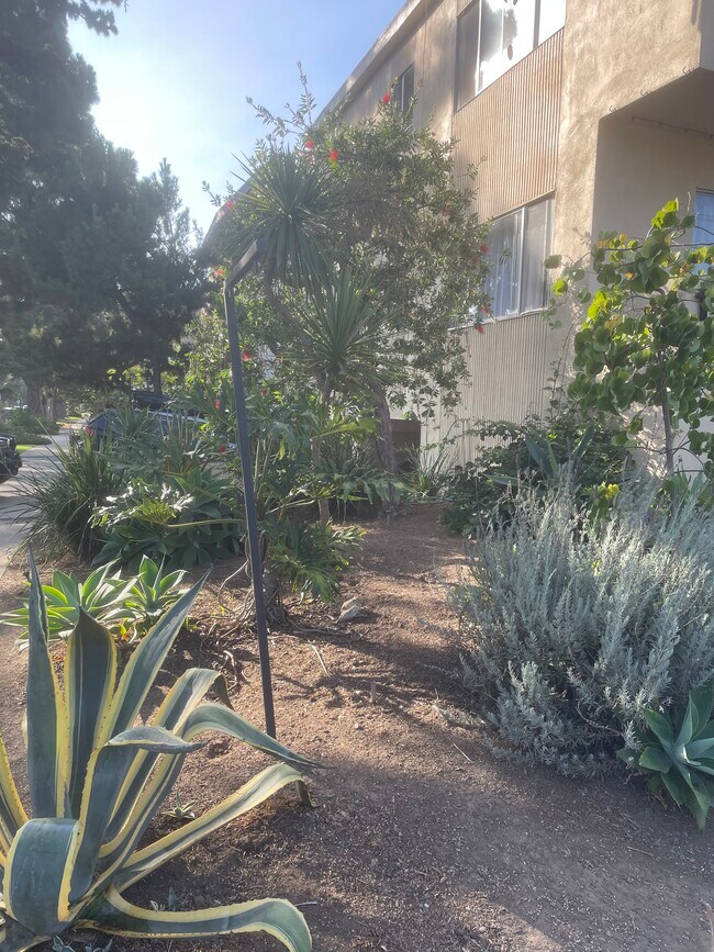 Foto del edificio - 1030 Idaho Ave