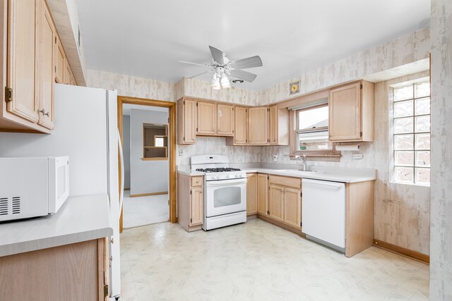 Foto del edificio - 8658 N Merrill St