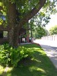 CORNER UNIT WITH PATIO - 2052 7th Ave E