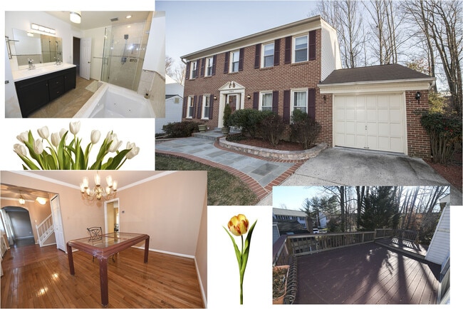 Gorgeous 4 BR 2+2 Baths Colonial - Finishe... - Gorgeous 4 BR 2+2 Baths Colonial - Finishe... House