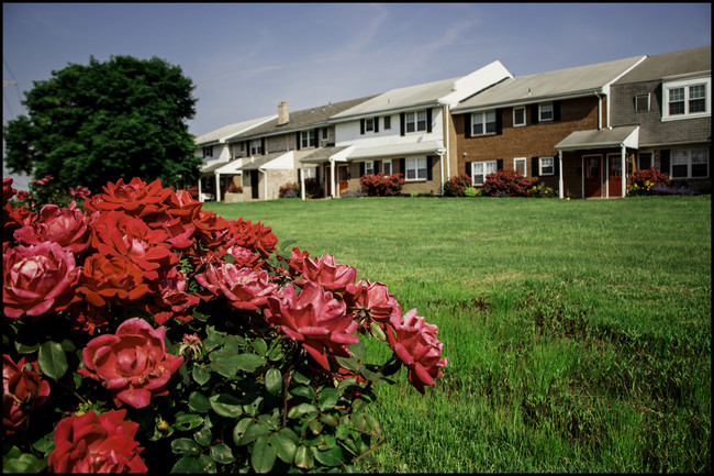 Foto del edificio - Middletown Manor