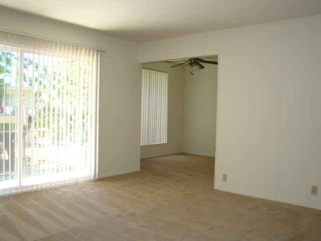 Building Photo - 983 Ponderosa Ave