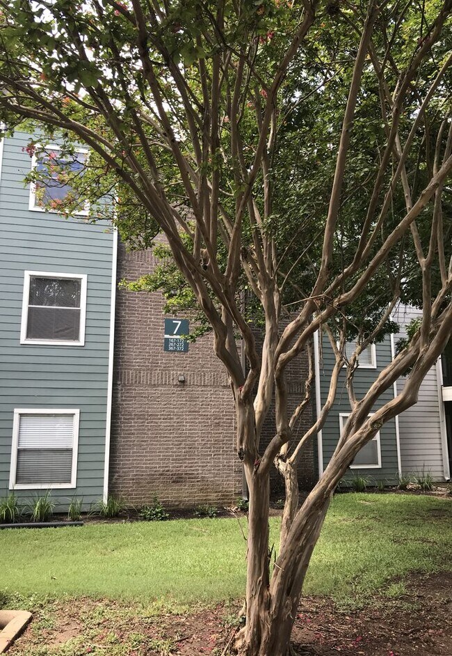 Foto del edificio - Great Location 2/2 BACKS TO NORTHEN WALNUT CREEK TRAIL