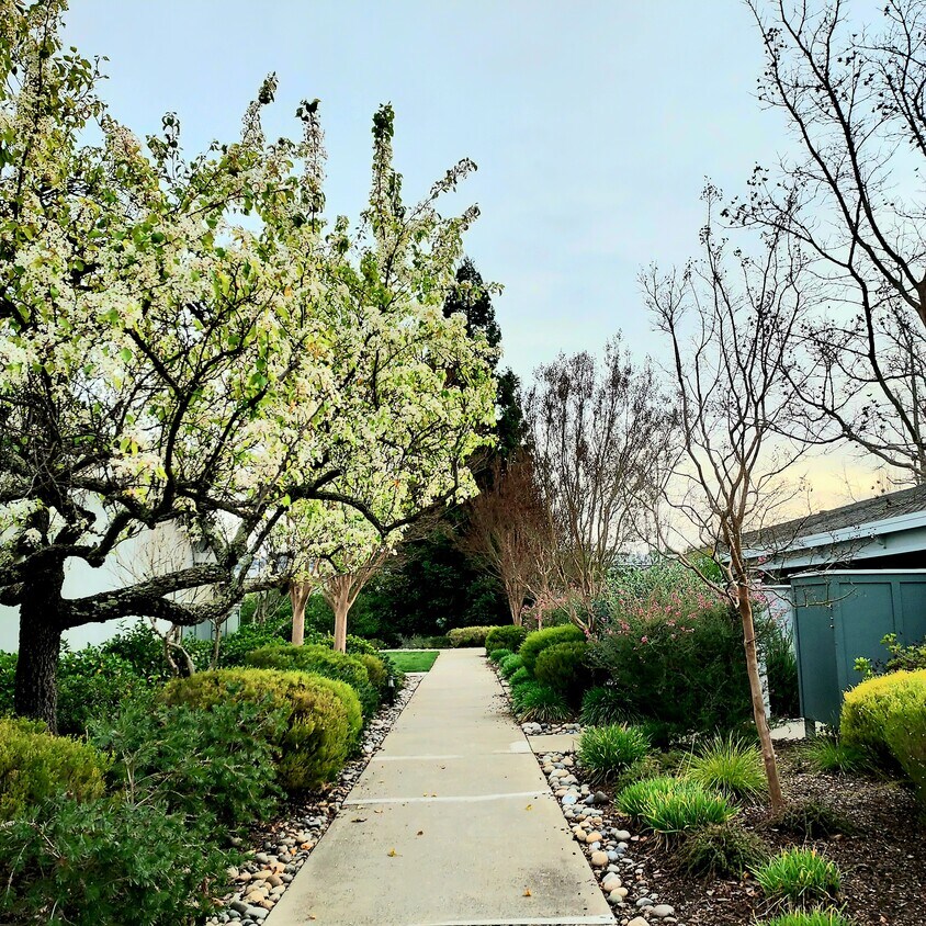 2549 Golden Rain Rd Unit 4, Walnut Creek, CA 94595 Condo for Rent in