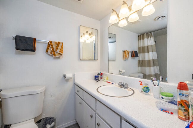 1BR, 1BA - 660SF - Bathroom - Tempe Terrace