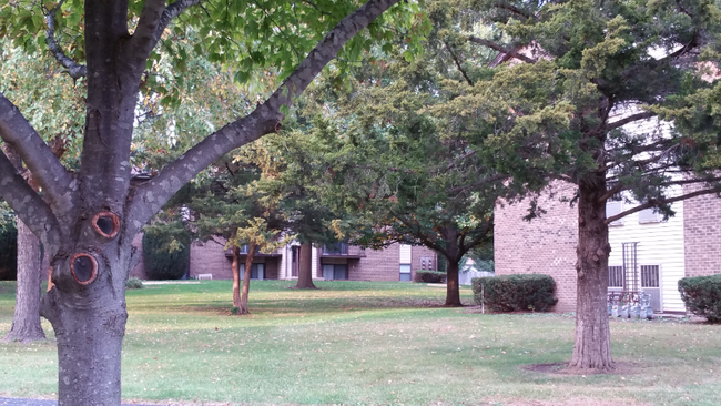Foto del edificio - 7620 Cherryvale N Blvd