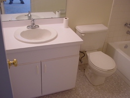 Bathroom - Greenbriar Apartments