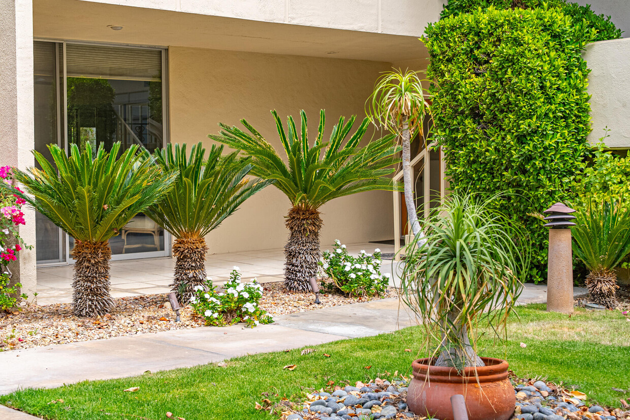 Foto principal - 477 Desert Lakes Dr