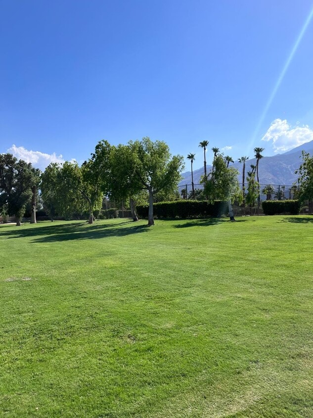 Primary Photo - North Palm Springs Beauty $300 off first m...