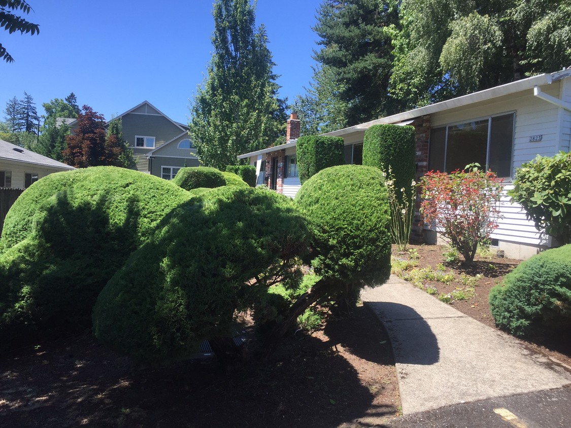 Primary Photo - 2817 SW Multnomah Blvd