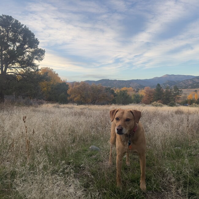 Foto del edificio - 115 Loop Dr