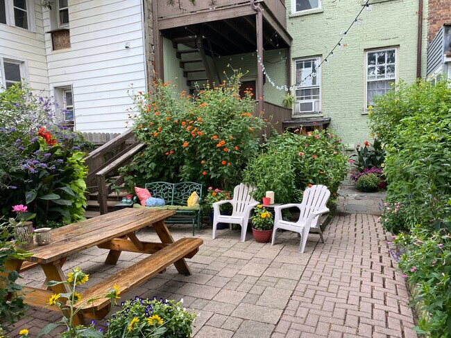 Beautiful shared garden and patio - 386 Hamilton St