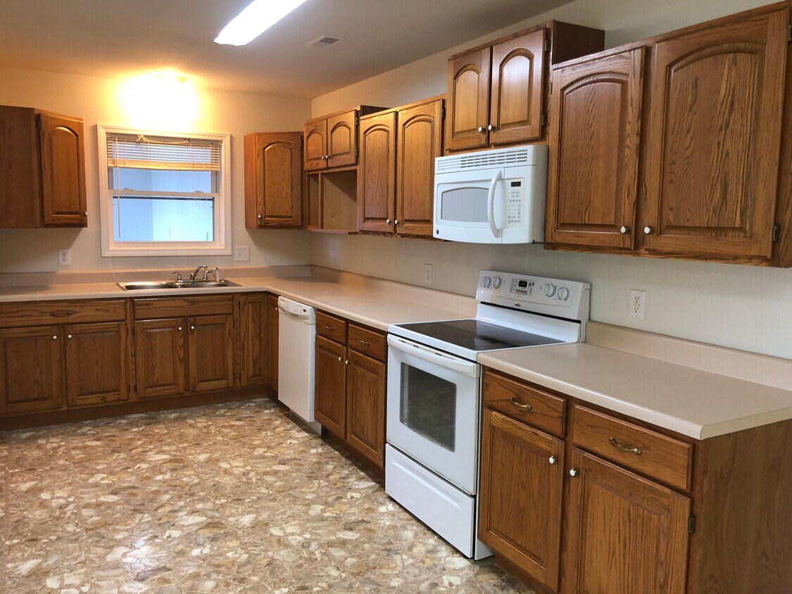 lots of cabinets w/stove & dishwasher - 10348 Willow Veil Ln
