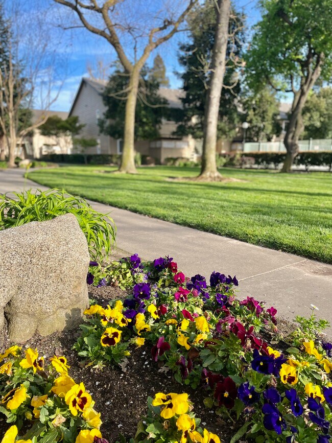 Valley Oak Apartments Apartments in Modesto, CA