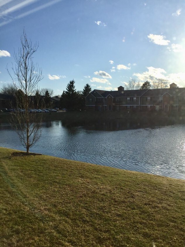Patio lake view - 1569 Raymond Dr
