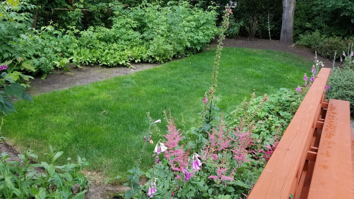 Back lawn off deck - 4430 SW Vesta St