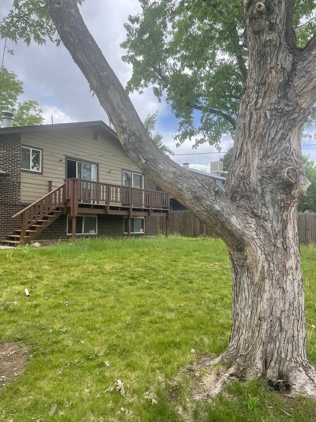Backyard - 12483 W 12th Pl