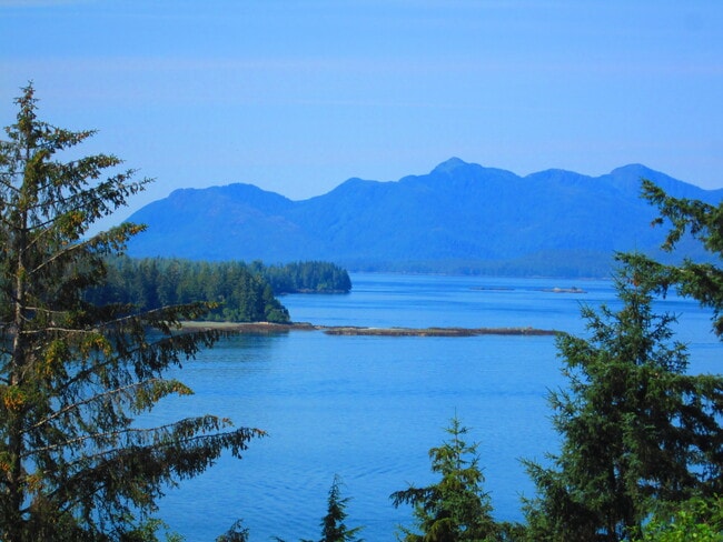view from deck & apt. - 5109 S Tongass Hwy